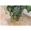 Image 3 : *Artificial Plant - 32" Tall