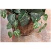 Image 4 : *Artificial Plant - 32" Tall