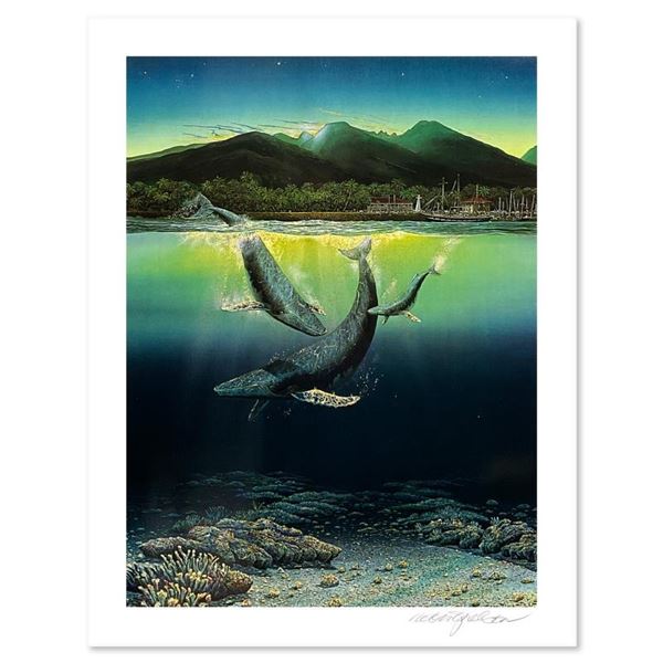 Two Worlds Today by Nelson, Robert Lyn