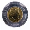 Image 2 : Canada 2019 $2 Polar Bear First Strike MS65 ICCS