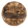 Image 1 : Canada 2001 Loon Dollar SP67 ICCS1