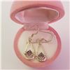 Image 4 : $100 Silver Amethyst Earrings