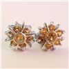 Image 1 : $100 Silver Citrine Earrings
