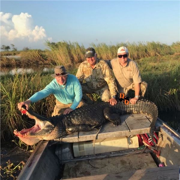Louisiana Alligator Hunt