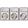 Image 1 : Lot of (3) 1921 $1 Morgan Silver Dollar Coins NGC MS63