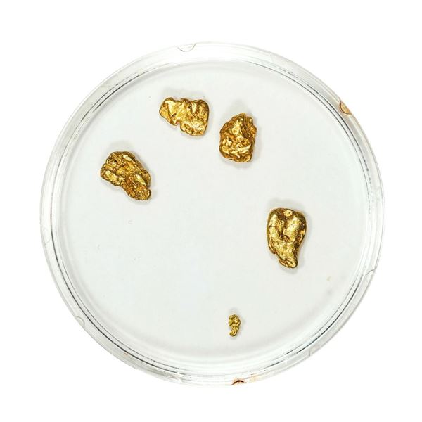 Lot of Gold Nuggets 1.51 Grams Total Weight