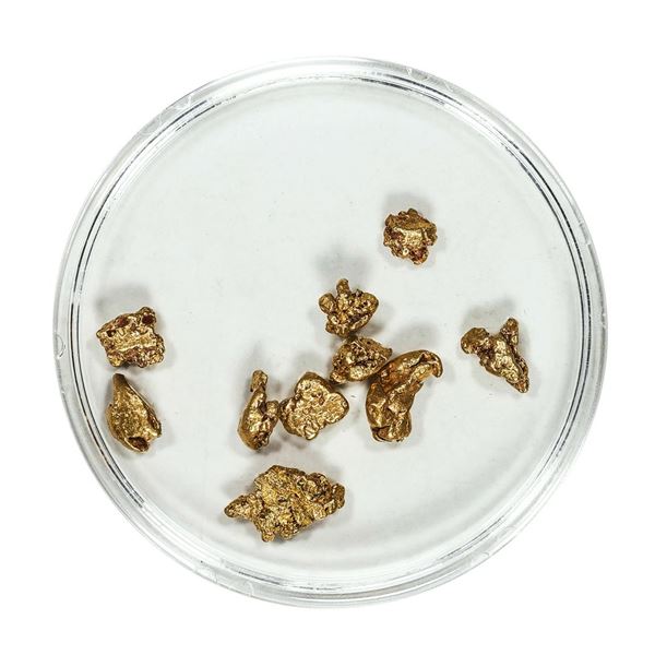 Gold Nuggets 3.60 Grams Total Weight