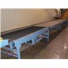 Image 6 : POWERED CONVEYOR SYSTEM