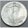 Image 1 : 1993 American Silver Eagle