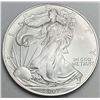Image 1 : 2007 American Silver Eagle