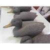 Image 3 : 4 Floating Duck Decoys