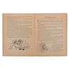 Image 4 : "Walt Disney's Pinocchio With Pictures to Color" Book.