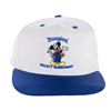 Image 1 : A Disneyland Project Management Team Hat.