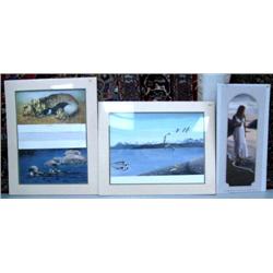 Lot of 4 pictures: flock of ducks by Louis Frisino; 2 Annette Hartzell prints; summer solstice print