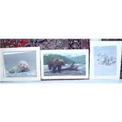 Lot of 3 bear prints: grizzly bear, polar bear, polar bear and Eskimos (53)