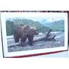 Image 3 : Lot of 3 bear prints: grizzly bear, polar bear, polar bear and Eskimos (53)