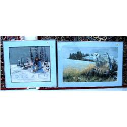 Framed picture of a white owl; Iditarod poster by Jon Van Zyle (53)