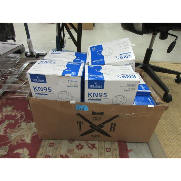 12 Boxes Of 50 Eco-Care KN95 Protective Face Masks 