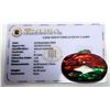 Image 2 : 16) NATURAL OVAL MULTI-COLORED AMMOLITE GEMSTONE