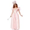 Image 1 : NEW RUBIE'S WOMENS LARGE ADULT WIZARD OF OZ