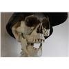 Image 2 : Decorative Artificial Skeleton - Hat Not Included