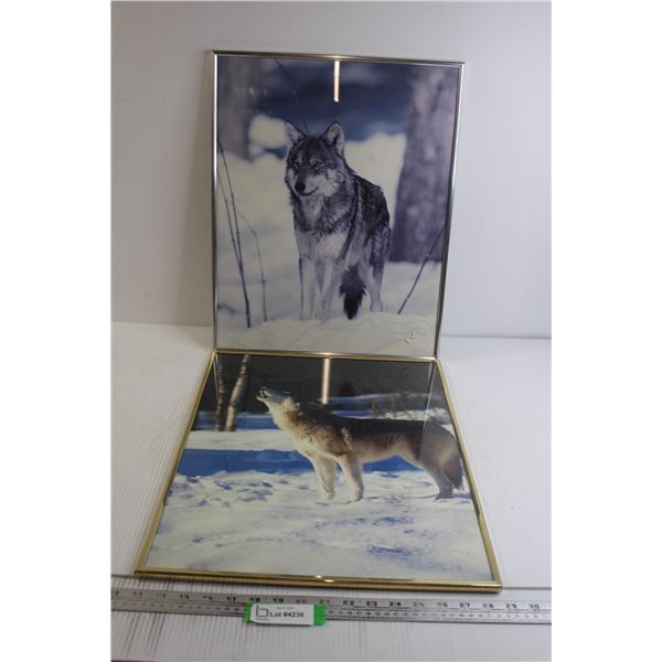 (2) Framed Wolf Pictures - 16  x 20 