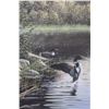 Image 2 : * Wood Framed Loon Print 1994, Artist Kelly - 22"x34"