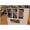 Image 1 : (4) Animal Posters: Bald Eagle, Cougar, Bear, Wolf