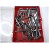 Image 3 : Plastic Container Full of Allen Wrenches