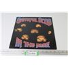 Image 1 : Record 78rpm - Grateful Dead - In The Dark