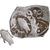 Image 1 : Fish type Punch Marked Silver Karshapana Coin of Magadha Janapada.