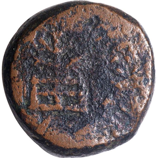 Copper Coin of Yaudheyas.