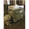 Image 8 : 5 PALLETS FULL "NEW" ALUMINUM BEER CANS-SOME LABELED/SOME BLANK