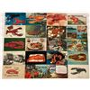 Image 1 : Postcards with Lobsters 50 Cards