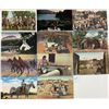 Image 2 : American Indian 55+ Postcards