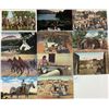 Image 2 : American Indian 55+ Postcards