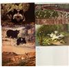 Image 1 : Animals Approx. 200 Postcards