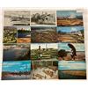 Image 2 : Logging Industry & Related Postcards 150+