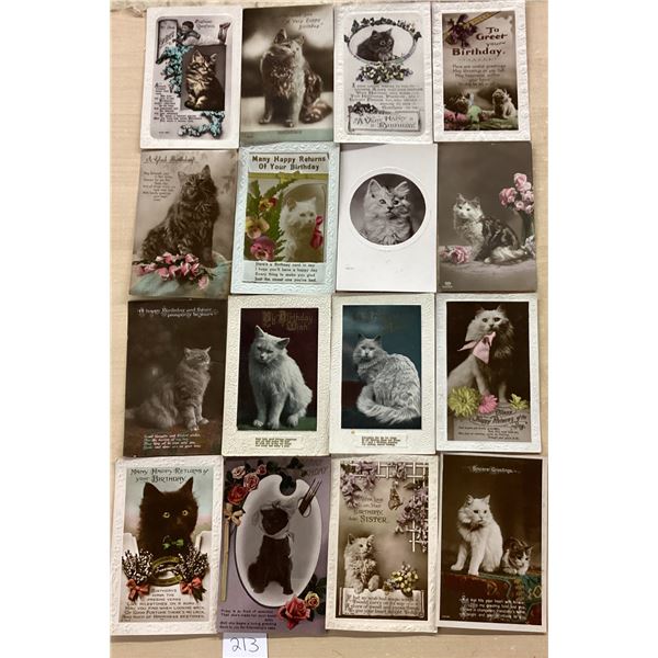 Real Photo Cat Postcards 40