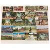 Image 1 : Horses & Wagons 250+ Postcards