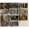 Image 2 : Muir Woods, California 65+Postcards