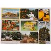 Image 1 : Early California Citrus Postcards - Some Photos 31 Cards