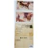 Image 3 : 5A Horse Blanket Advertising Postcards 19