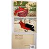 Image 3 : Novelty - Birds with Feather Attachments 9 Postcards