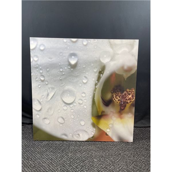 Wei Wong 20/350 Rain On Flower 40W x 40T