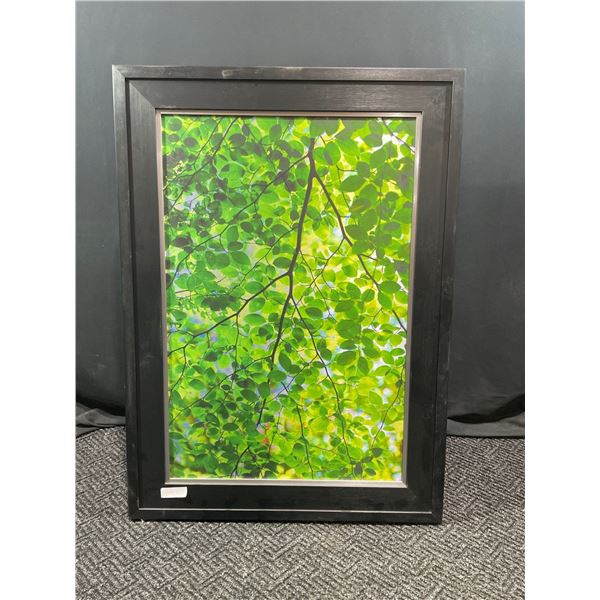 Leaves - Photographic Print On Canvass - 43W x 31T