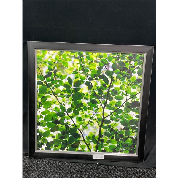 Wei Wong Leaves Photograph On Board 28 x 28