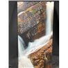 Image 1 : Waterfall Photographic Print On Board 24W x 48T