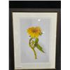 Image 1 : Sunflower Sketch on Paper 24 X 18