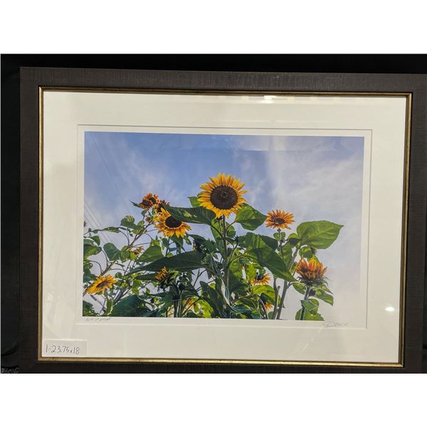 Sunflowers Print on Paper 24 X 18